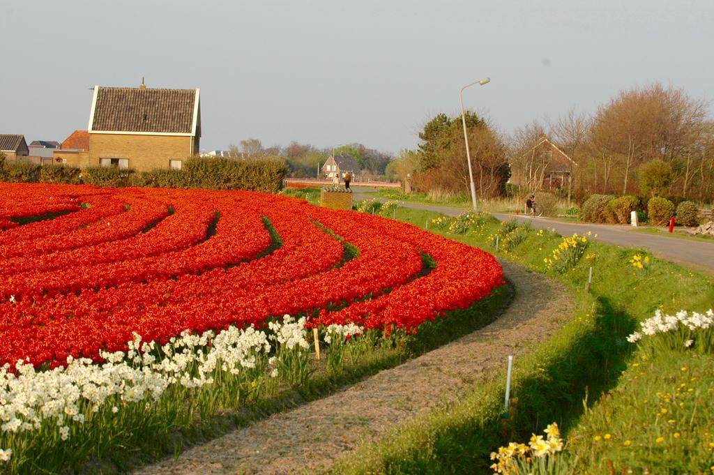 Hotel Prins Maurits Bergen aan Zee Luaran gambar