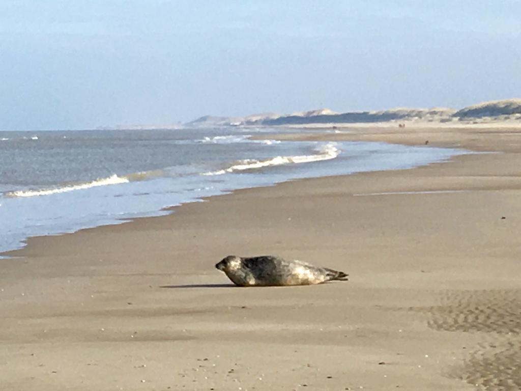 Hotel Prins Maurits Bergen aan Zee Luaran gambar